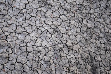 Kuru toprak arka plan. Kuraklık. Gri kuru toprak. Toprak arka plan. Kırık toprak arka plan. Dünya düzeni. Toprak doku. Kırık dünya. Doğal arka plan. Grunge dünya Colorado, Amerika Birleşik Devletleri.