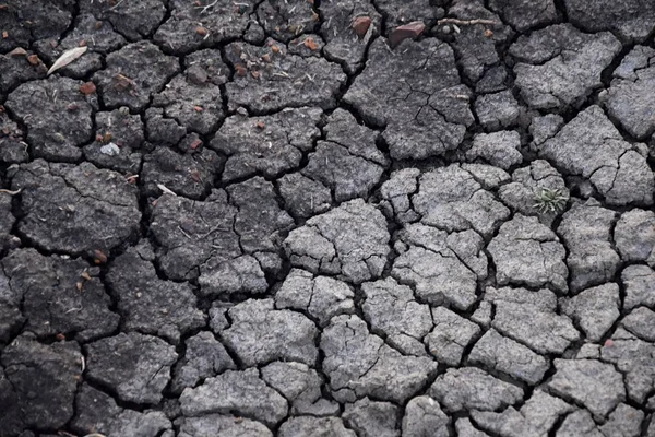 Dry soil abstract background. Drought. Gray dry soil. Soil background. Cracked soil background. Earth pattern. Soil texture. Cracked earth. Natural background. Grunge earth in Colorado, United States.