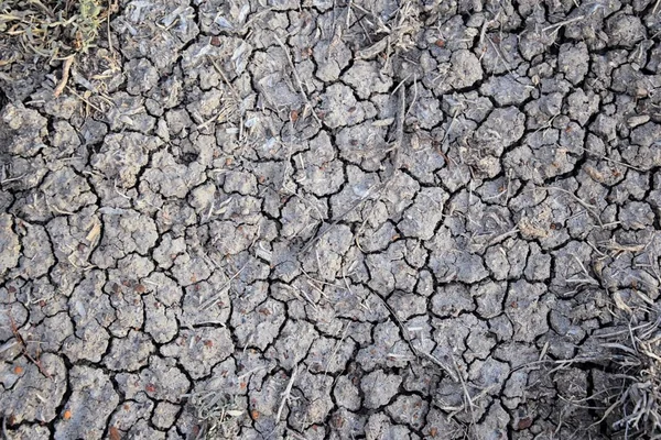 Dry Soil Abstract Background Drought Gray Dry Soil Soil Background — Stock Photo, Image