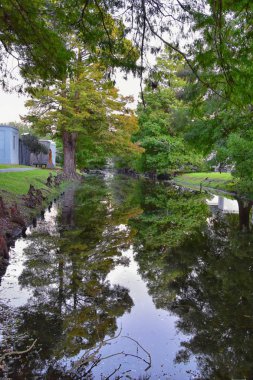 Ağaçlar ve New Orleans, mezarlıklar ve Garden District, Louisiana, Amerika Birleşik Devletleri havuzlarında yansıtan dahil olmak üzere çevresindeki eşsiz doğa yönleri.
