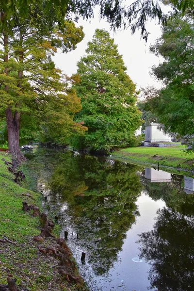 Ağaçlar ve New Orleans, mezarlıklar ve Garden District, Louisiana, Amerika Birleşik Devletleri havuzlarında yansıtan dahil olmak üzere çevresindeki eşsiz doğa yönleri.
