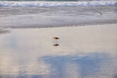 La Misyon Valley manzara ve Meksika Batı kıyısında evler kapı inanç ve Buena Vida yetimhane, Tijuana, Meksika Güney Pasifik Okyanusu yakınlarındaki küçük bir kanyon Beach. 