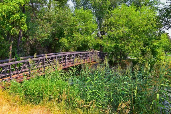 Veduta Del Jordan River Trail Ponte Pedonale Ferroviario Con Alberi — Foto Stock