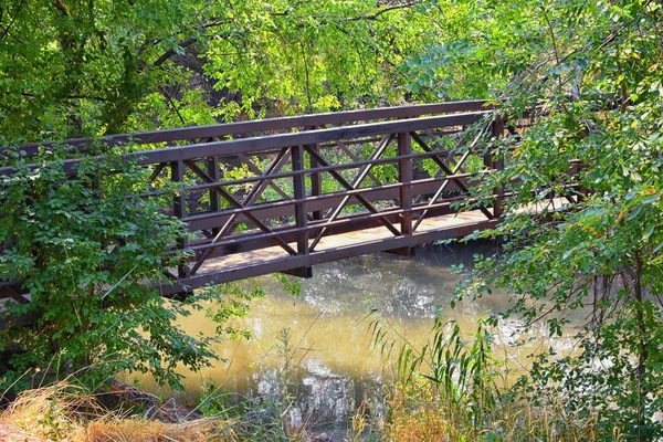 Veduta Del Jordan River Trail Ponte Pedonale Ferroviario Con Alberi — Foto Stock