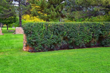 Jordan Park 1939 ve 1952 yılında özel tasarlandı Salt Lake City, Utah bulunan bir botanik bahçesi olan uluslararası barış bahçeleri kez izlendi. Amerika Birleşik Devletleri.