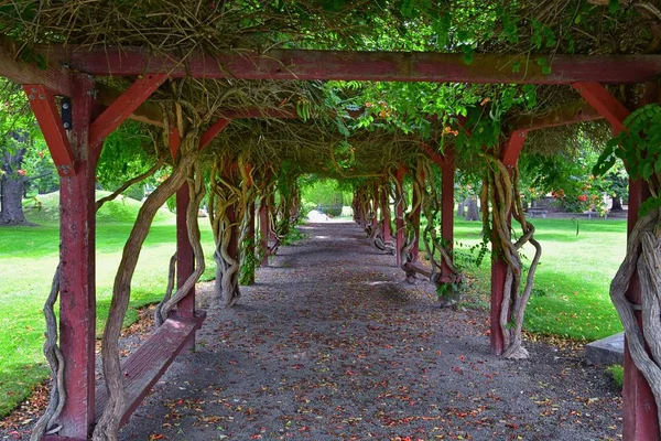 Uitzicht Vanaf Internationale Vrede Tuinen Die Een Botanische Tuin Jordan — Stockfoto