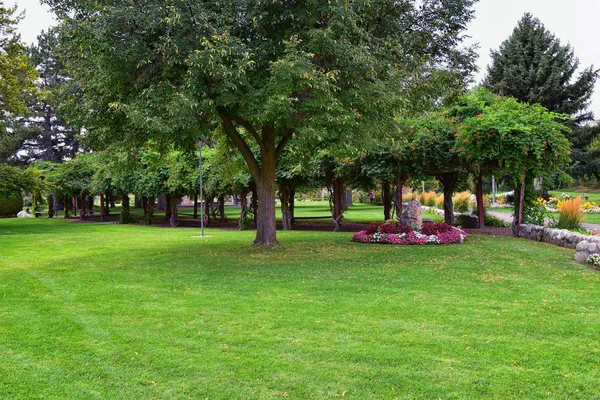 Uitzicht Vanaf Internationale Vrede Tuinen Die Een Botanische Tuin Jordan — Stockfoto