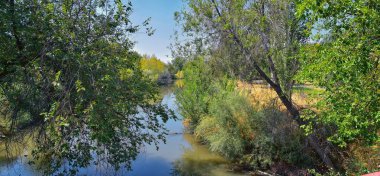 Ağaçlar, Rusya zeytin, cottonwood ve silt çevreleyen ile görünümlerini Ürdün Nehri Trail çamurlu su boyunca Wasatch açık Rocky Dağları, Salt Lake City, Utah dolu.