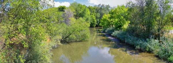 Widok Rzekę Jordan Trail Otaczających Drzew Rosyjski Oliwek Topoli Muł — Zdjęcie stockowe