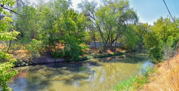 Vistas Del Sendero Del Río Jordán Con Árboles Circundantes Olivo — Foto de Stock