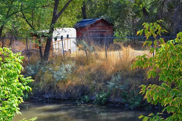 Views Jordan River Trail Surrounding Trees Russian Olive Cottonwood Silt — Stock Photo, Image