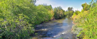 Ağaçlar, Rusya zeytin, cottonwood ve silt çevreleyen ile görünümlerini Ürdün Nehri Trail çamurlu su boyunca Wasatch açık Rocky Dağları, Salt Lake City, Utah dolu.
