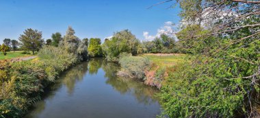 Ağaçlar, Rusya zeytin, cottonwood ve silt çevreleyen ile görünümlerini Ürdün Nehri Trail çamurlu su boyunca Wasatch açık Rocky Dağları, Salt Lake City, Utah dolu.