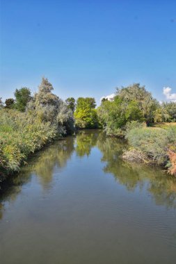 Ağaçlar, Rusya zeytin, cottonwood ve silt çevreleyen ile görünümlerini Ürdün Nehri Trail çamurlu su boyunca Wasatch açık Rocky Dağları, Salt Lake City, Utah dolu.