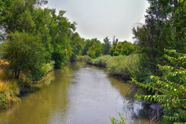 Ağaçlar, Rusya zeytin, cottonwood ve silt çevreleyen ile görünümlerini Ürdün Nehri Trail çamurlu su boyunca Wasatch açık Rocky Dağları, Salt Lake City, Utah dolu.