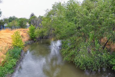 Ağaçlar, Rusya zeytin, cottonwood ve silt çevreleyen ile görünümlerini Ürdün Nehri Trail çamurlu su boyunca Wasatch açık Rocky Dağları, Salt Lake City, Utah dolu.