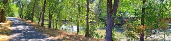 Vista Rio Jordão Trilha Com Árvores Circundantes Azeitona Russa Madeira — Fotografia de Stock