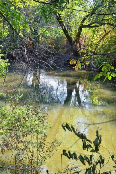 Kilátás Jordán Folyó Trail Környező Fák Orosz Olívaolaj Cottonwood Iszap — Stock Fotó