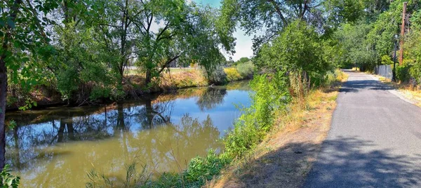 Utsikt Över Jordanfloden Trail Med Omgivande Träd Rysk Oliv Cottonwood — Stockfoto