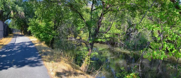 Pohledy Řeky Jordán Trail Okolními Stromy Ruské Olive Topolu Bahno — Stock fotografie