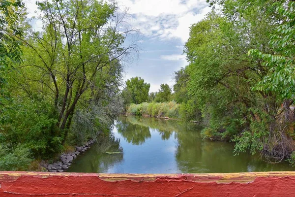 在犹他州盐湖城 沿着瓦萨奇前落基山脉 欣赏约旦河小道的景色 周围有树木 俄罗斯橄榄树 棉木和淤泥 泥泞的水 — 图库照片