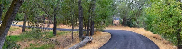 Views Jordan River Trail Surrounding Trees Russian Olive Cottonwood Silt — Stock Photo, Image