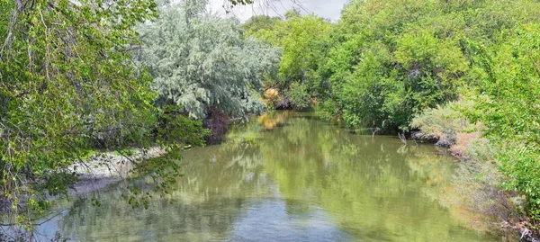 在犹他州盐湖城 沿着瓦萨奇前落基山脉 欣赏约旦河小道的景色 周围有树木 俄罗斯橄榄树 棉木和淤泥 泥泞的水 — 图库照片