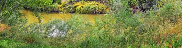 Utsikt Över Jordanfloden Trail Med Omgivande Träd Rysk Oliv Cottonwood — Stockfoto