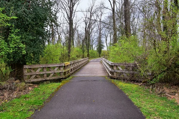 Views Bridges Pathways Shelby Bottoms Greenway Natural Area Cumberland River — Stock Photo, Image