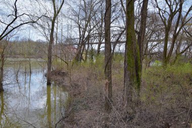 Tren parça demiryolu Köprüsü manzarasına Shelby dipleri Greenway ve doğal alan boyunca Cumberland Nehri Cephe Süsleme yollar, müzik şehir Nashville, Tennessee. Amerika Birleşik Devletleri.