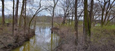 Tren parça demiryolu Köprüsü manzarasına Shelby dipleri Greenway ve doğal alan boyunca Cumberland Nehri Cephe Süsleme yollar, müzik şehir Nashville, Tennessee. Amerika Birleşik Devletleri.