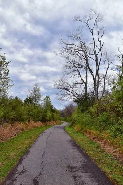 Vedute Della Natura Dei Sentieri Lungo Shelby Bottoms Greenway Area — Foto Stock