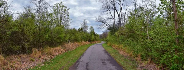 Widoki Natury Szlaków Wzdłuż Shelby Bottoms Greenway Natural Area Cumberland — Zdjęcie stockowe