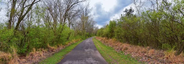 Uitzicht Natuur Paden Langs Shelby Bodems Greenway Natuurgebied Cumberland River — Stockfoto