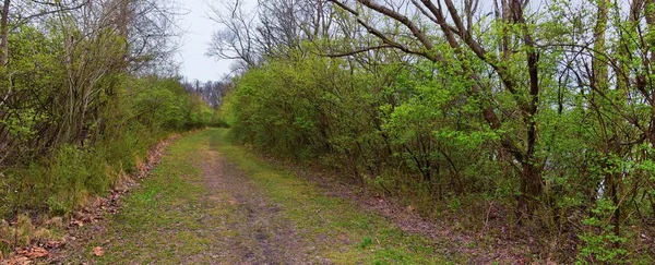 Pemandangan Alam Dan Jalan Jalan Sepanjang Shelby Bottoms Greenway Dan — Stok Foto