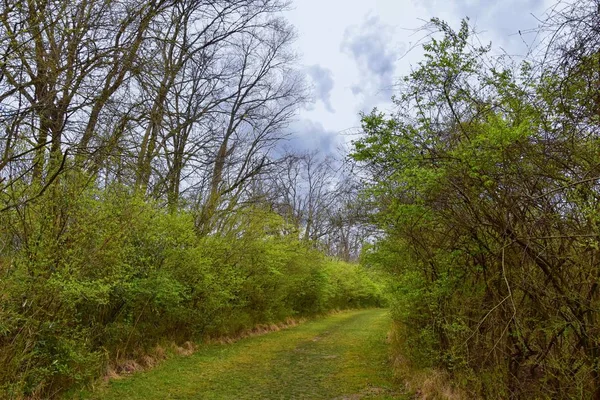 Widoki Natury Szlaków Wzdłuż Shelby Bottoms Greenway Natural Area Cumberland — Zdjęcie stockowe