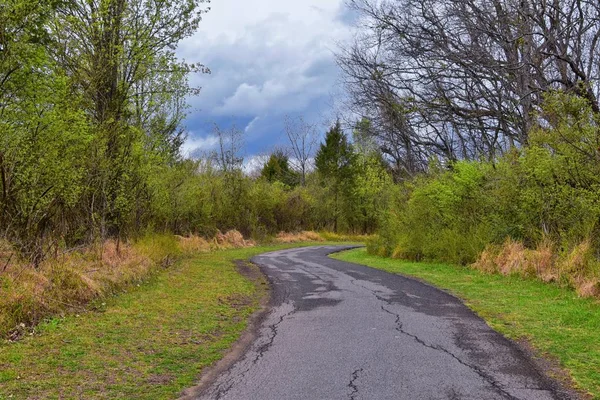 Widoki Natury Szlaków Wzdłuż Shelby Bottoms Greenway Natural Area Cumberland — Zdjęcie stockowe