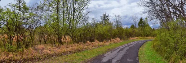 シェルビーボトムグリーンウェイに沿って自然や道の景色を眺めるカンバーランド川間口のトレイル 井野川広葉樹林 オープンフィールド 湿地帯 ナッシュビル テネシー — ストック写真
