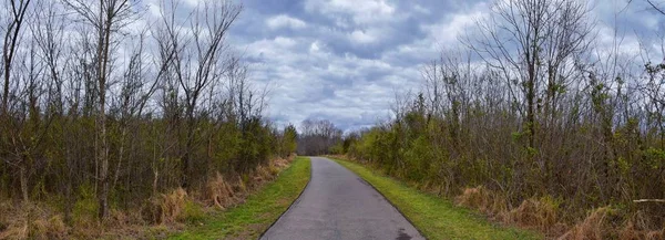 Uitzicht Natuur Paden Langs Shelby Bodems Greenway Natuurgebied Cumberland River — Stockfoto