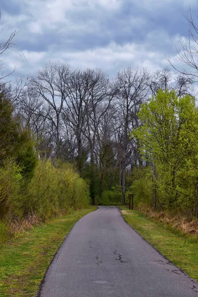 Views Nature Pathways Shelby Bottoms Greenway Natural Area Cumberland River — Stock Photo, Image