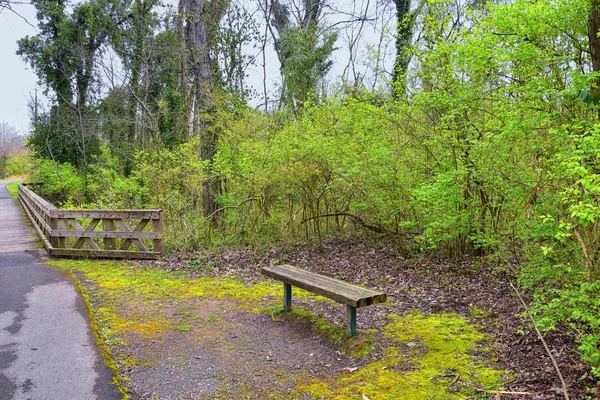 Uitzicht Natuur Paden Langs Shelby Bodems Greenway Natuurgebied Cumberland River — Stockfoto