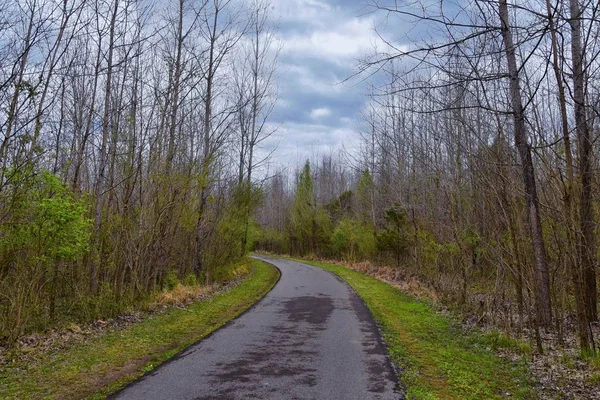 Views Nature Pathways Shelby Bottoms Greenway Natural Area Cumberland River — Stock Photo, Image