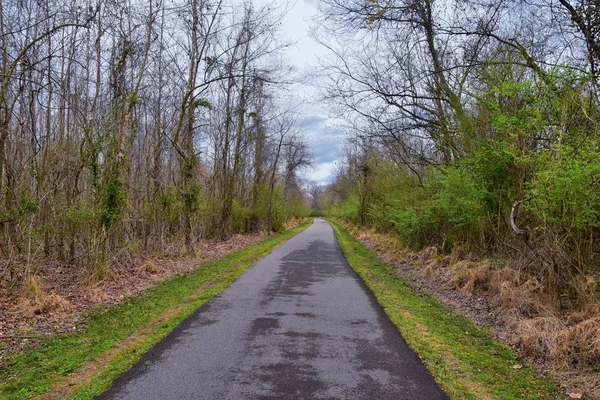 Uitzicht Natuur Paden Langs Shelby Bodems Greenway Natuurgebied Cumberland River — Stockfoto