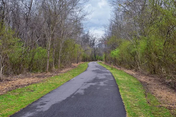 Views Nature Pathways Shelby Bottoms Greenway Natural Area Cumberland River — Stock Photo, Image