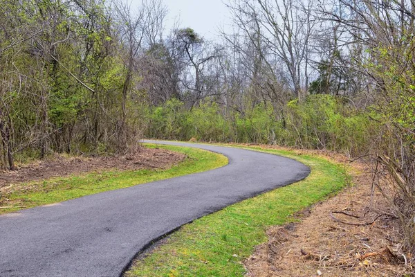 Views Nature Pathways Shelby Bottoms Greenway Natural Area Cumberland River — Stock Photo, Image