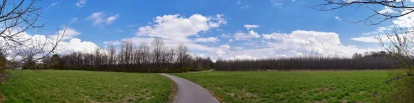 Vistas Natureza Caminhos Longo Shelby Bottoms Greenway Área Natural Cumberland — Fotografia de Stock
