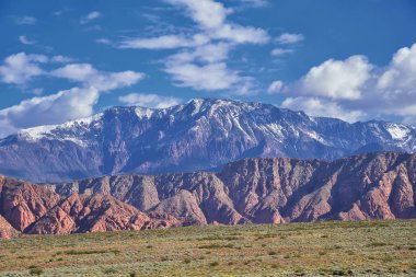 Millcreek Trail ve Washington Hollow St George, Utah çölde Bahar çiçek tarafından Red Mountain Wilderness ve Snow Canyon State Park manzarası. Amerika Birleşik Devletleri.