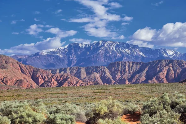 红山荒野和雪峡谷州立公园的意见 从米尔克里克小径和华盛顿空心由圣乔治 犹他州在春天盛开在沙漠 — 图库照片