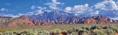 Millcreek Trail ve Washington Hollow St George, Utah çölde Bahar çiçek tarafından Red Mountain Wilderness ve Snow Canyon State Park manzarası. Amerika Birleşik Devletleri.