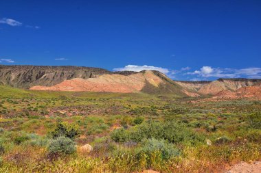 Millcreek Trail ve Washington Hollow St George, Utah çölde Bahar çiçek tarafından Red Mountain Wilderness ve Snow Canyon State Park manzarası. Amerika Birleşik Devletleri.